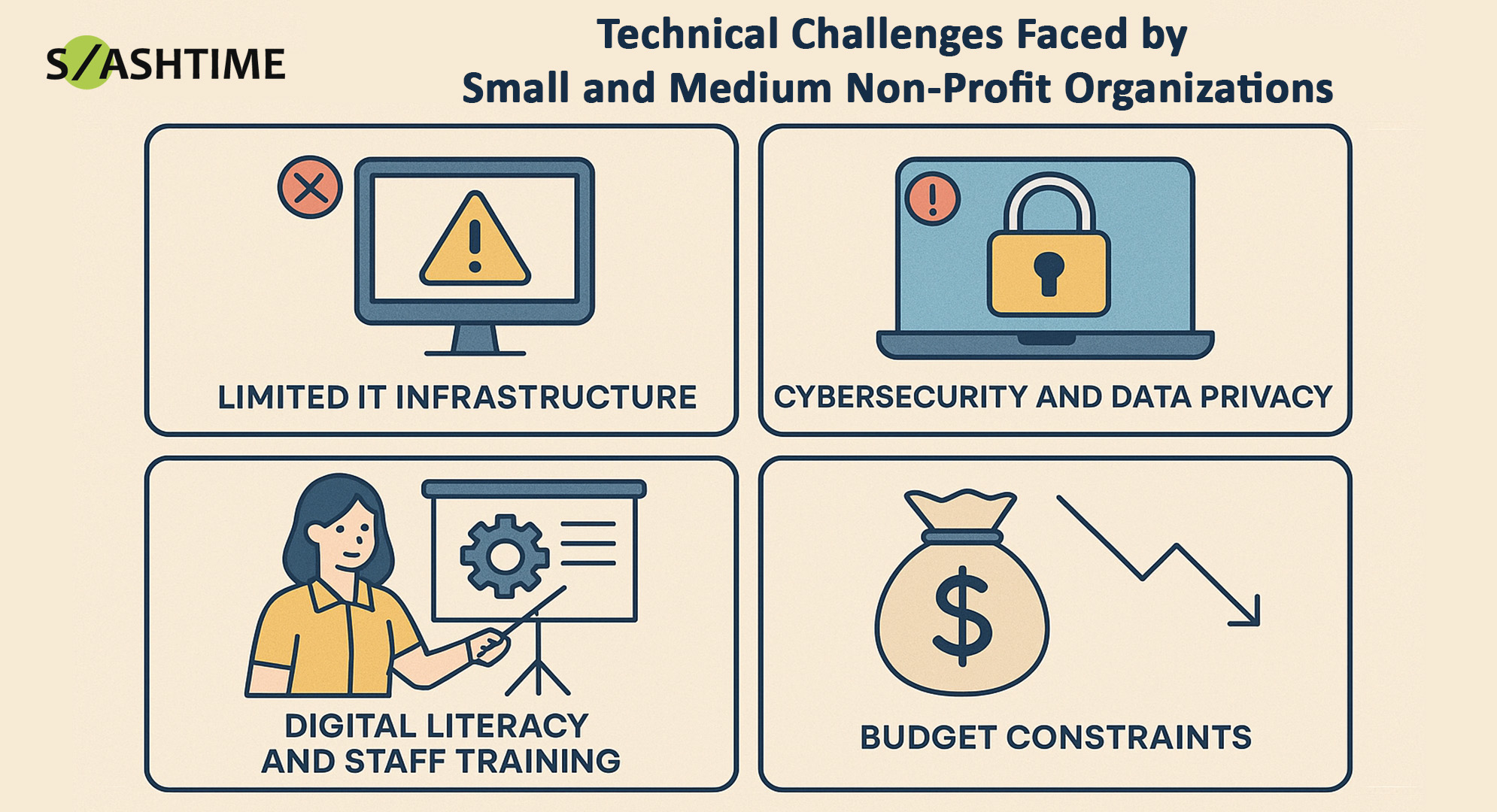 Technical Challenges Faced by Small and Medium Non-Profit Organizations